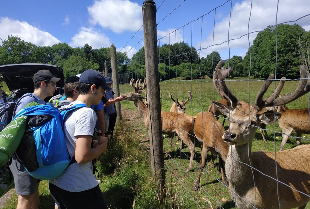 Colonies de Vacances Pilpoul et Pilpelle