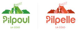 Logo-Pilpoul-Pilpelle-Colonies